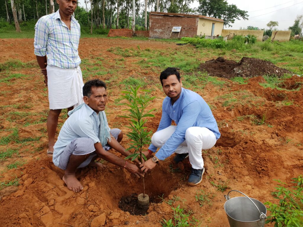 Planting Trees